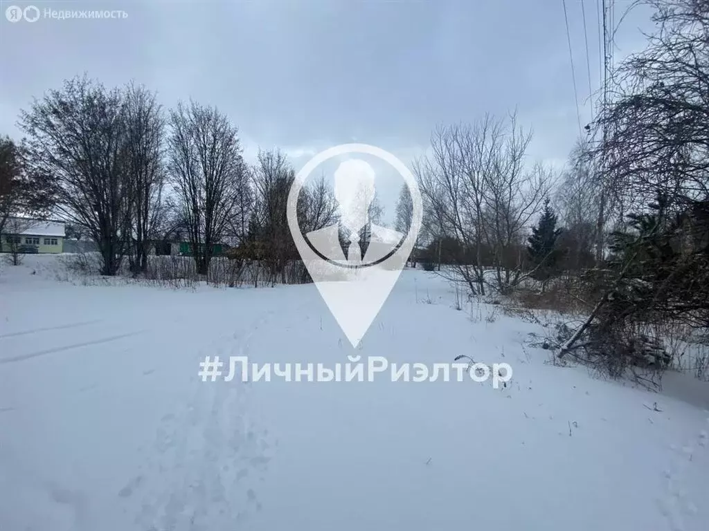 Участок в Рязанская область, Скопинский муниципальный округ, село ... - Фото 2