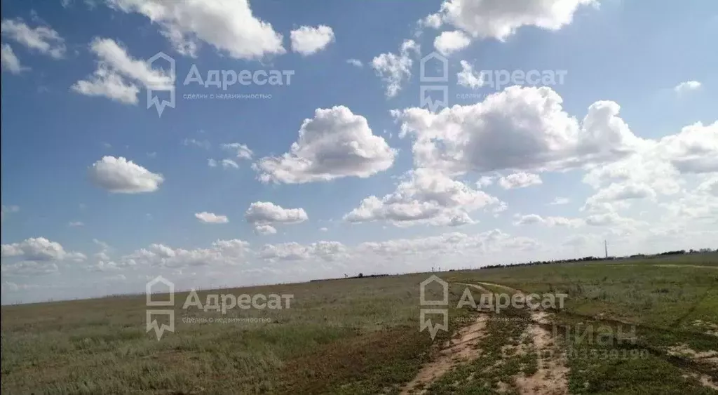 Участок в Волгоградская область, Среднеахтубинский район, ... - Фото 0