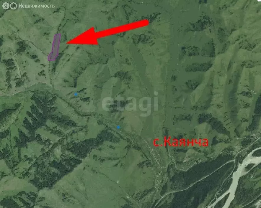 Участок в Нижнекаянча, Центральная улица (54400 м) - Фото 1