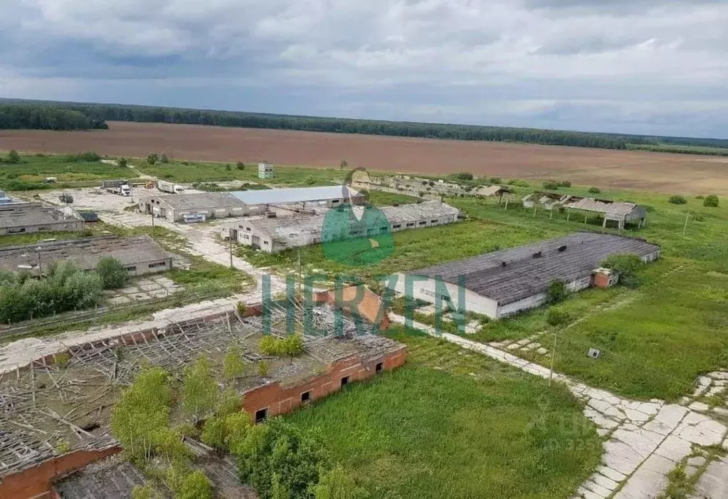 Производственное помещение в Московская область, Ступино городской ... - Фото 2