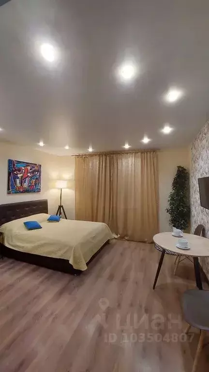Студия Санкт-Петербург просп. Королева, 64к1 (25.0 м) - Фото 0