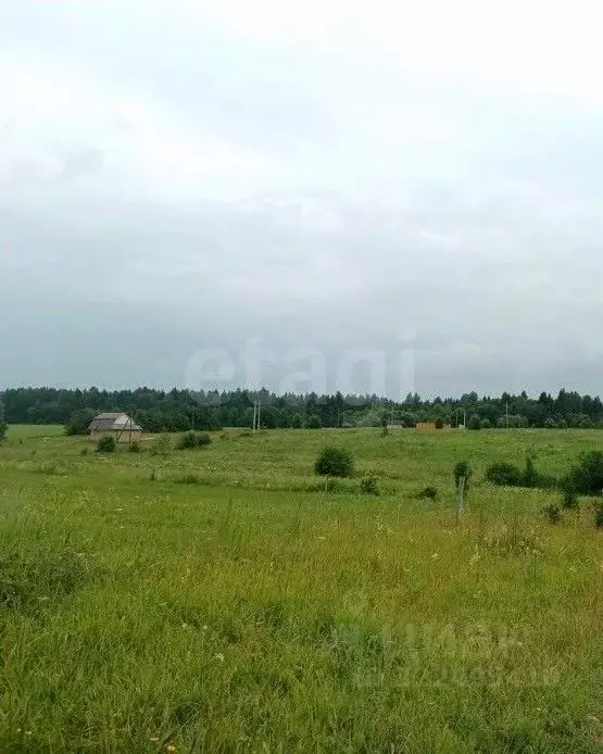 Участок в Вологодская область, д. Киндеево  (25.0 сот.) - Фото 2