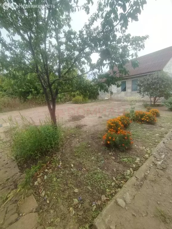 Дом в Волгодонск, СНТ Волгодонской Садовод (80 м) - Фото 1