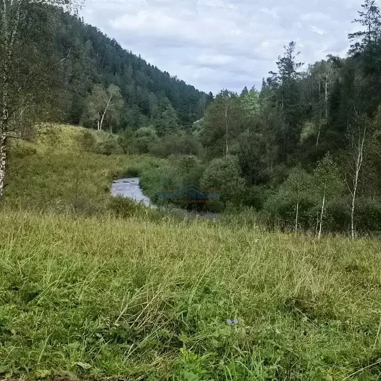 Участок в Алтай, Чемальский район, с. Бешпельтир  (110.0 сот.) - Фото 1