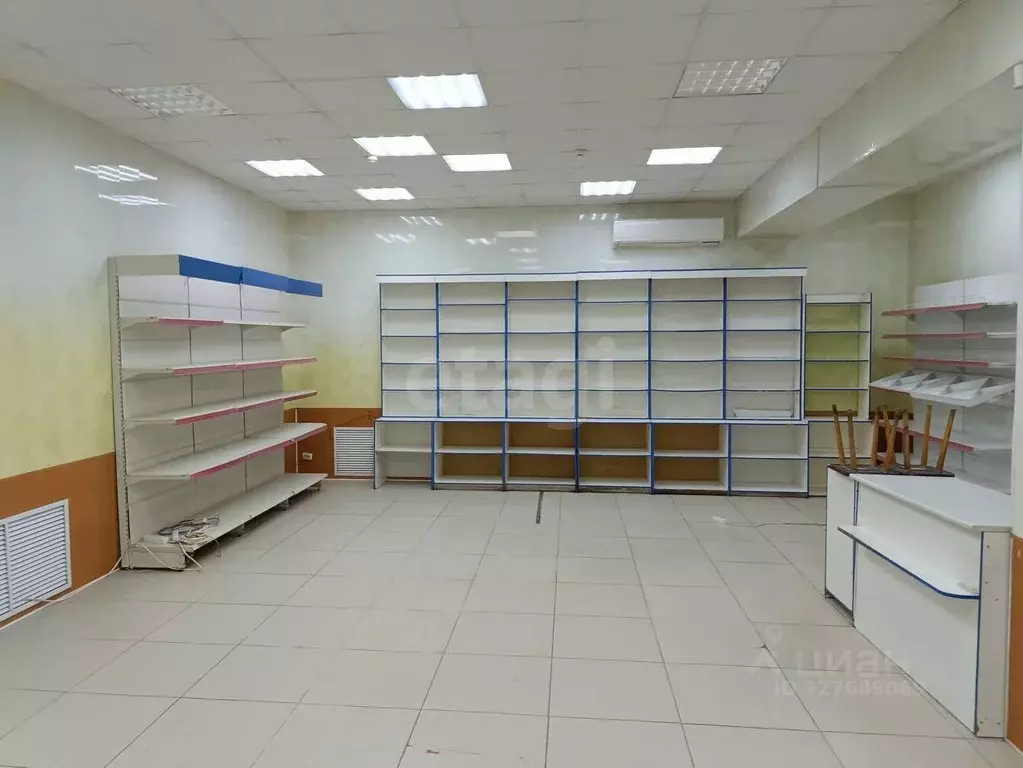 Помещение свободного назначения в Владимирская область, Владимир ... - Фото 1