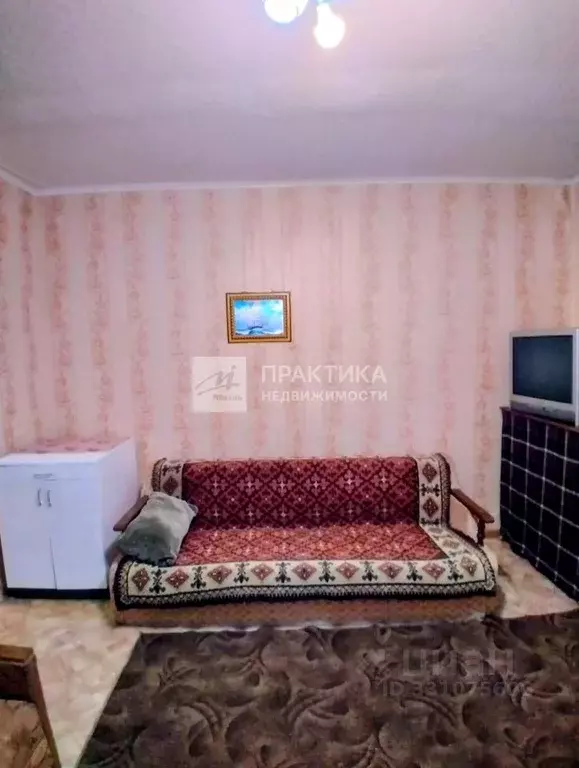 Студия Липецкая область, Липецк ул. Вермишева, 17/1 (17.0 м) - Фото 2