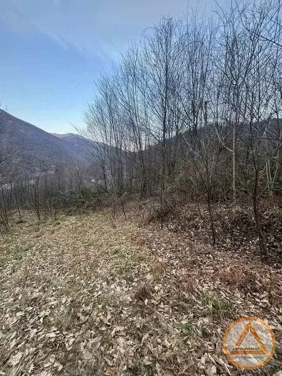 Участок в Краснодарский край, Сочи городской округ, с. Алексеевское ... - Фото 2