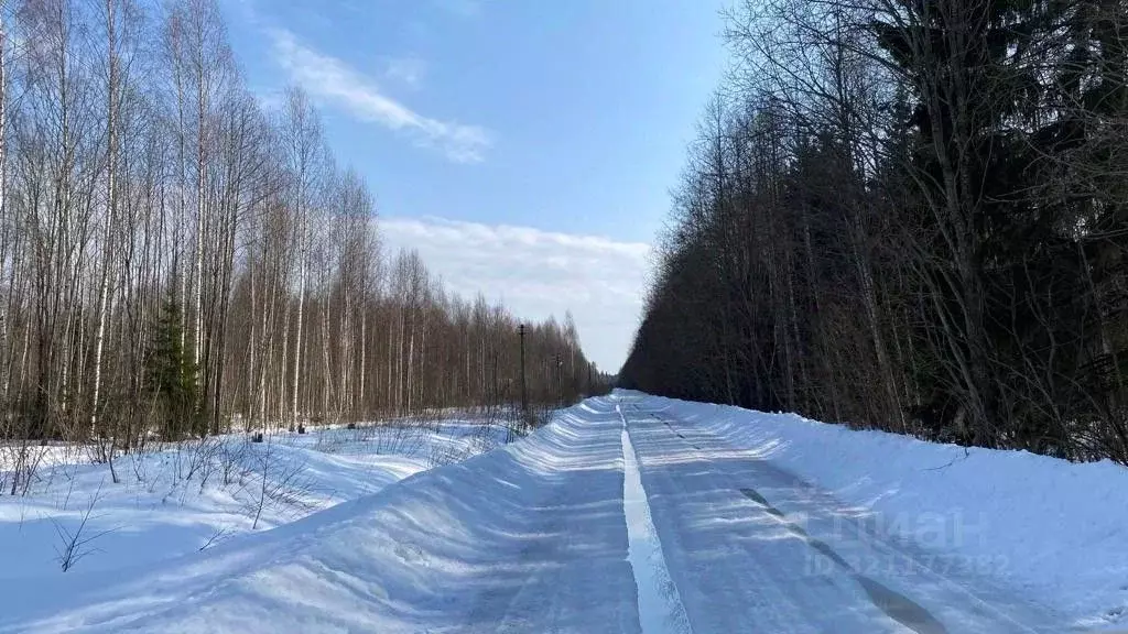 Участок в Тверская область, Конаковский муниципальный округ, Березка ... - Фото 2