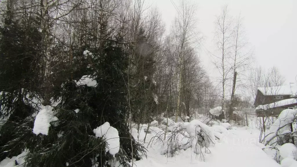 Участок в Московская область, Рузский муниципальный округ, д. Кузянино ... - Фото 2
