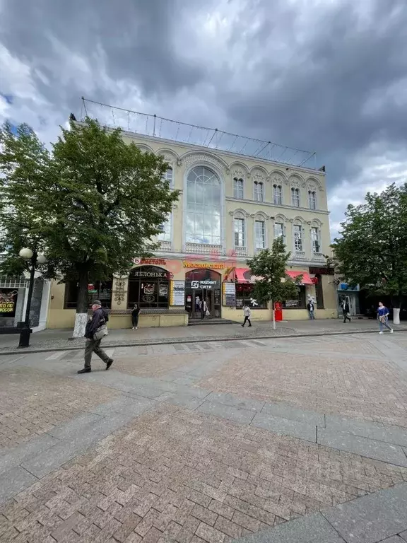 Помещение свободного назначения в Пензенская область, Пенза Московская ... - Фото 2