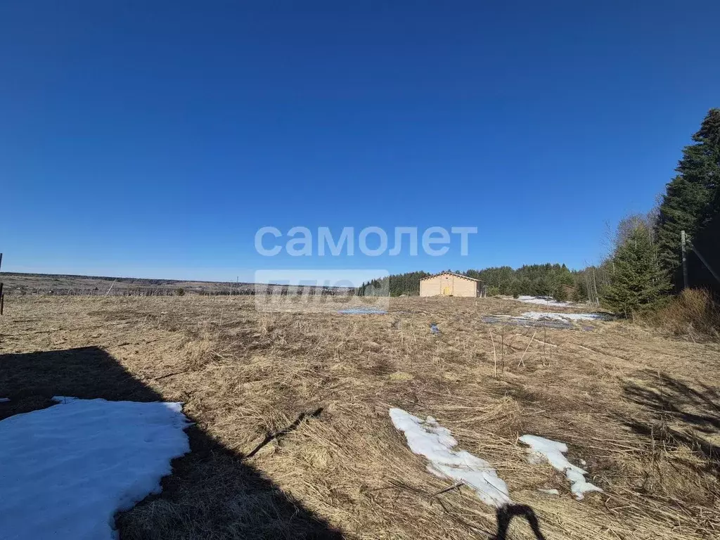 Участок в Коми, Сысольский муниципальный район, Визинга муниципальное ... - Фото 2