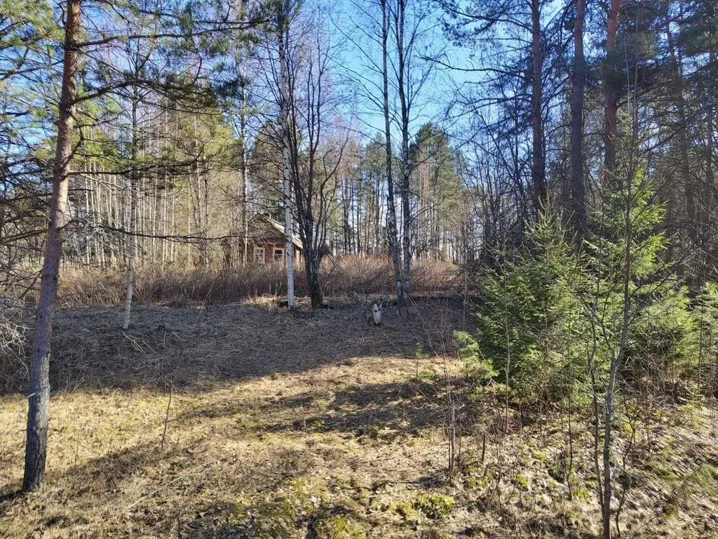 Участок, 30 сот., поселения (ижс) - Фото 1