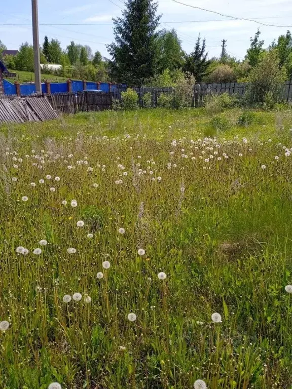 Участок в Башкортостан, Иглинский район, Чуваш-Кубовский сельсовет, с. ... - Фото 2