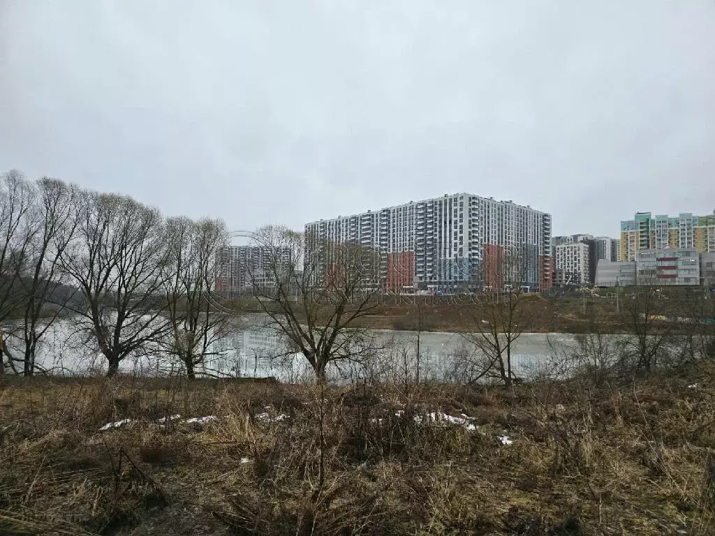 Продается участок в д. Пуговичино - Фото 2