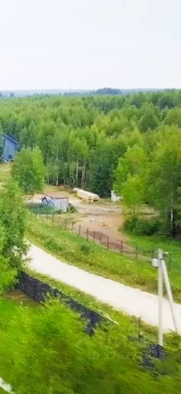 Участок в Московская область, Дмитровский муниципальный округ, д. ... - Фото 2