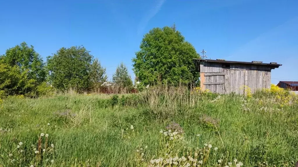 Участок в Ленинградская область, Ломоносовский район, Лопухинское ... - Фото 0