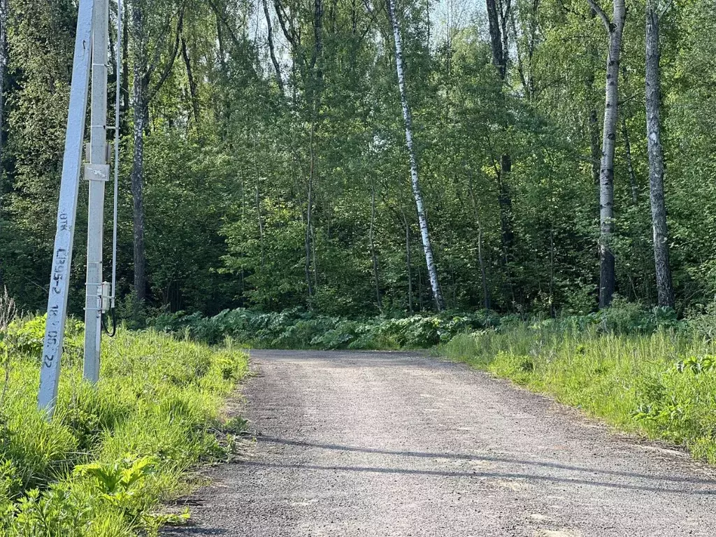 Участок в Московская область, Домодедово городской округ, д. Минаево, ... - Фото 1