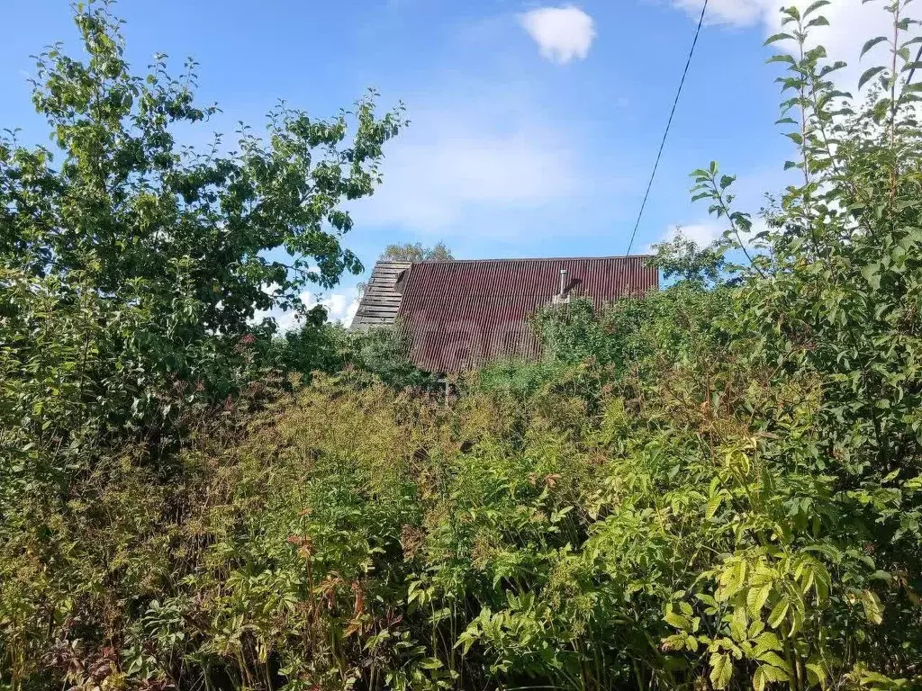 Дом в Ленинградская область, Волхов Мостовая ул. (30 м) - Фото 1