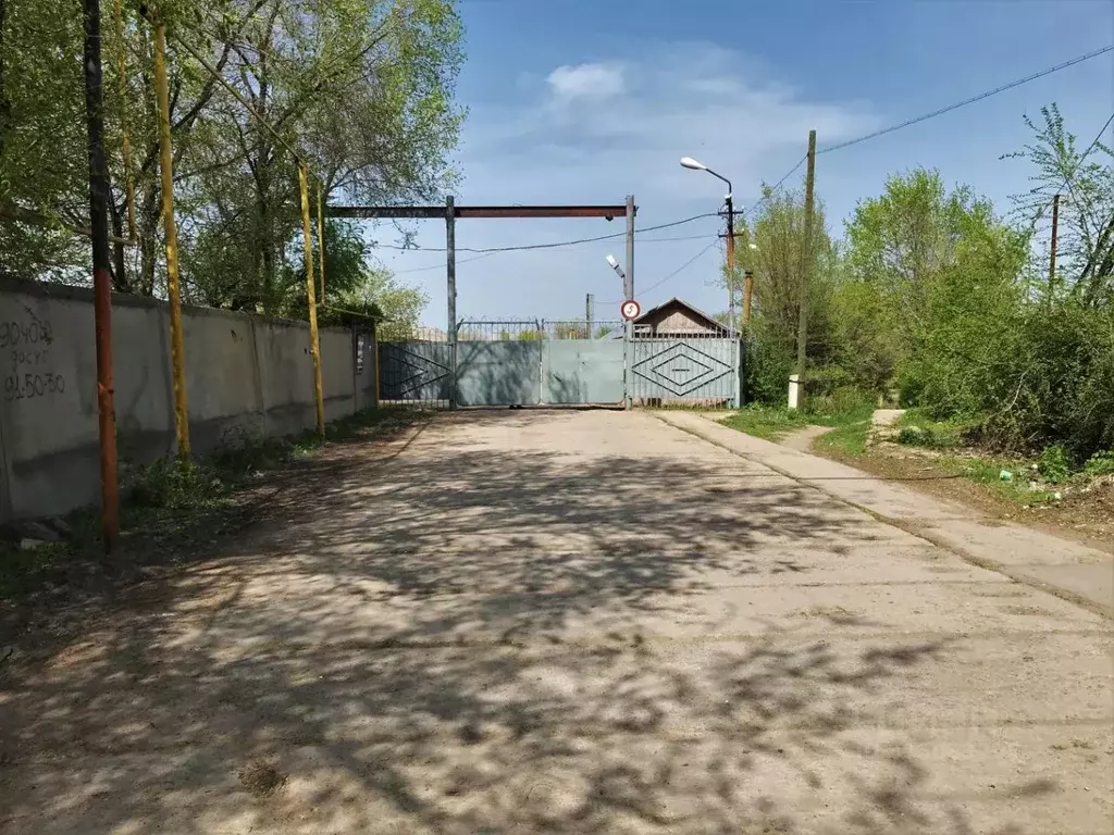 Производственное помещение в Саратовская область, пос. Зоринский ул. ... - Фото 1