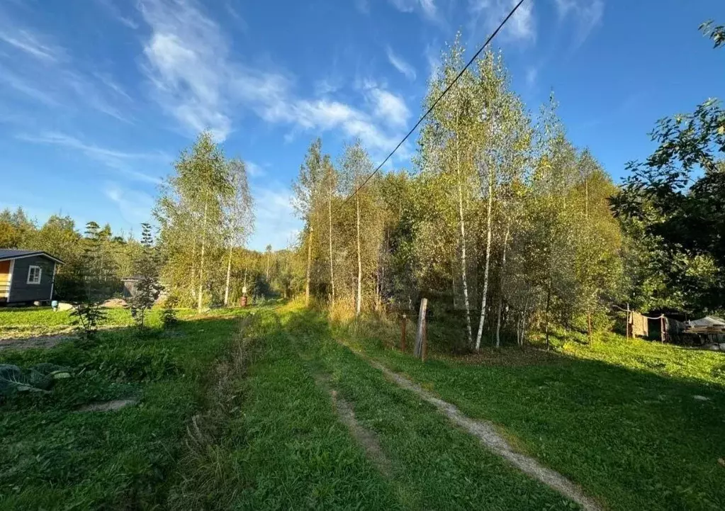 Участок 14 сот. (СНТ, ДНП) - Фото 1