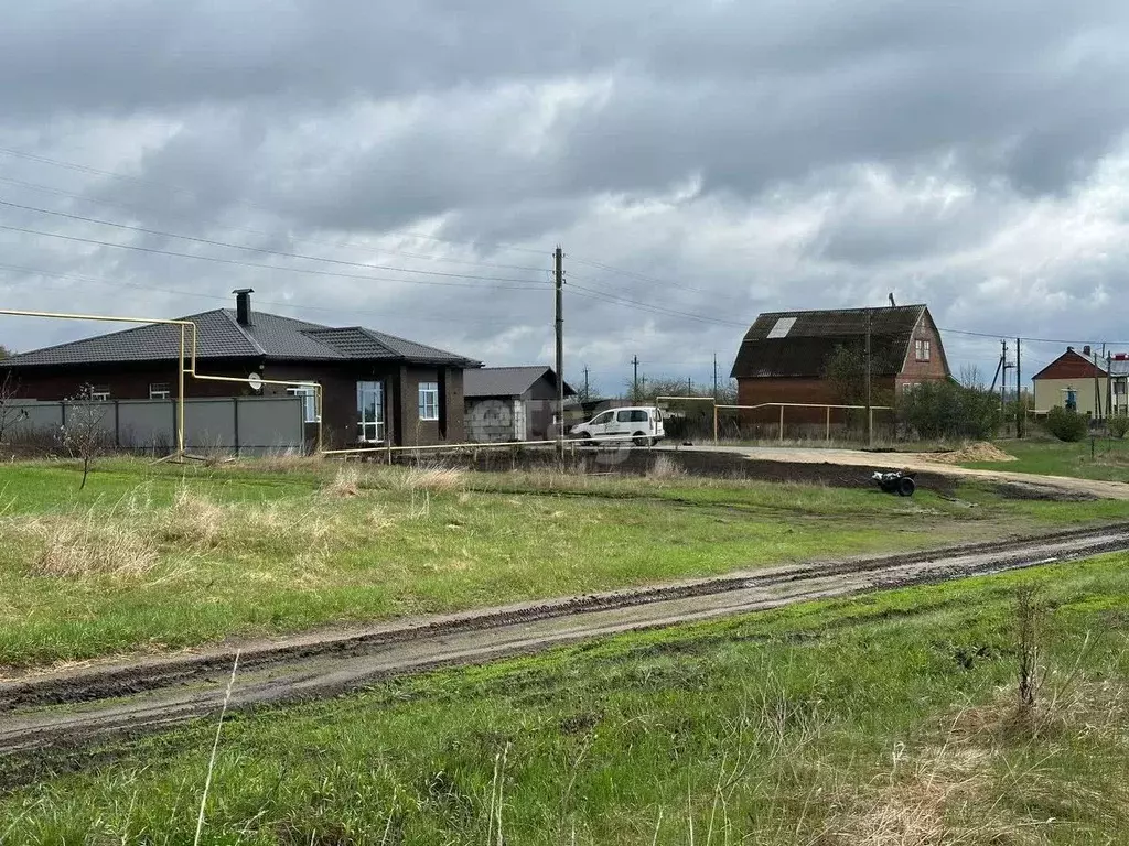 Участок в Воронежская область, Борисоглебский городской округ, с. ... - Фото 1