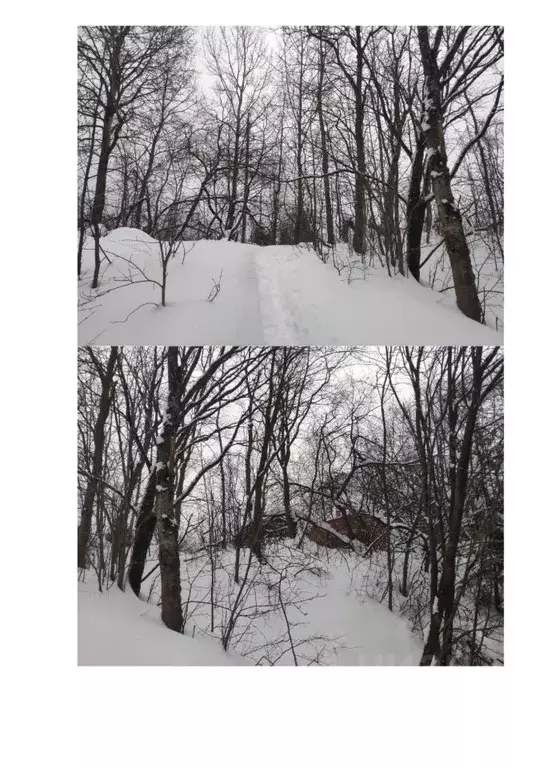 Участок в Московская область, Истра ул. Ленина, Река Истра (7.5 сот.) - Фото 1