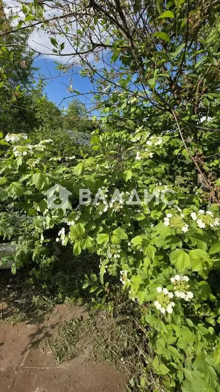 Дом в Владимир, СНТ № 3 АО ВТЗ, 40 (38.5 м) - Фото 2