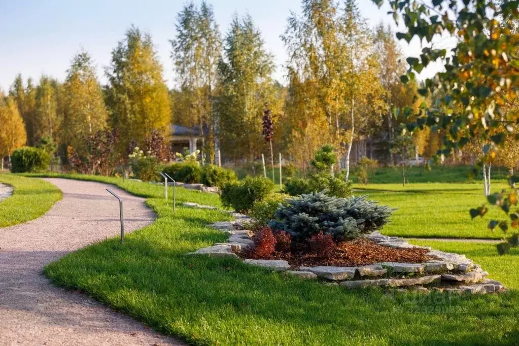 Участок в Ленинградская область, Выборгский район, Первомайское с/пос, ... - Фото 0