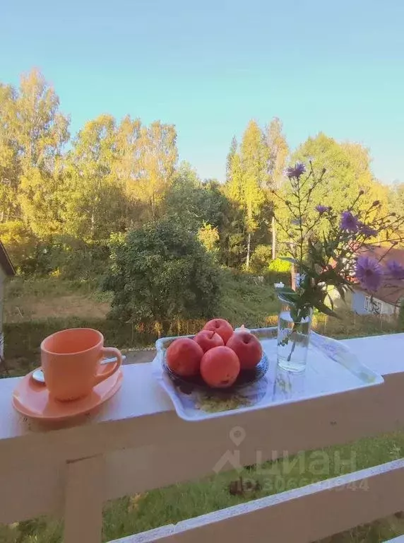 Дом в Ленинградская область, Приозерский район, пос. Сосново ул. ... - Фото 2