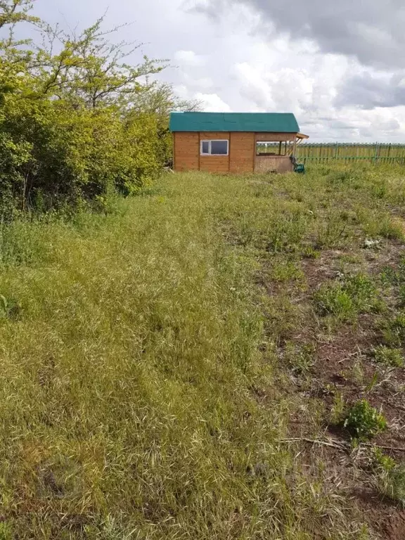 Дом в Крым, Сакский район, Молочненское с/пос, Молочненский Западный ... - Фото 2