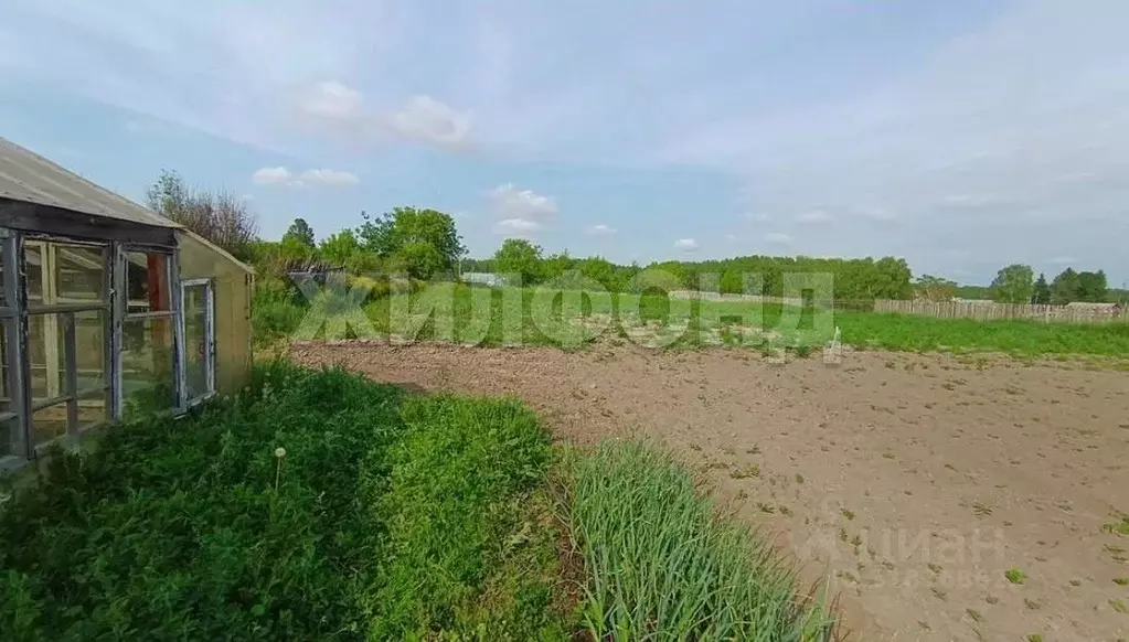 Участок в Новосибирская область, Новосибирский район, Новолуговской ... - Фото 0