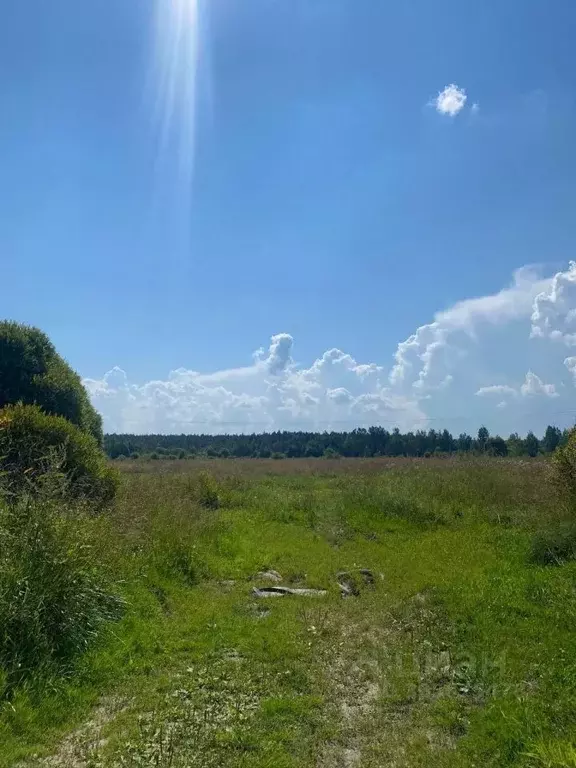 Дом в Ленинградская область, Тосненское городское поселение, с. Ушаки ... - Фото 1