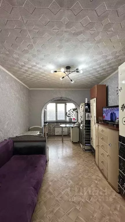 Студия Амурская область, Благовещенск Заводская ул., 31 (21.7 м) - Фото 1