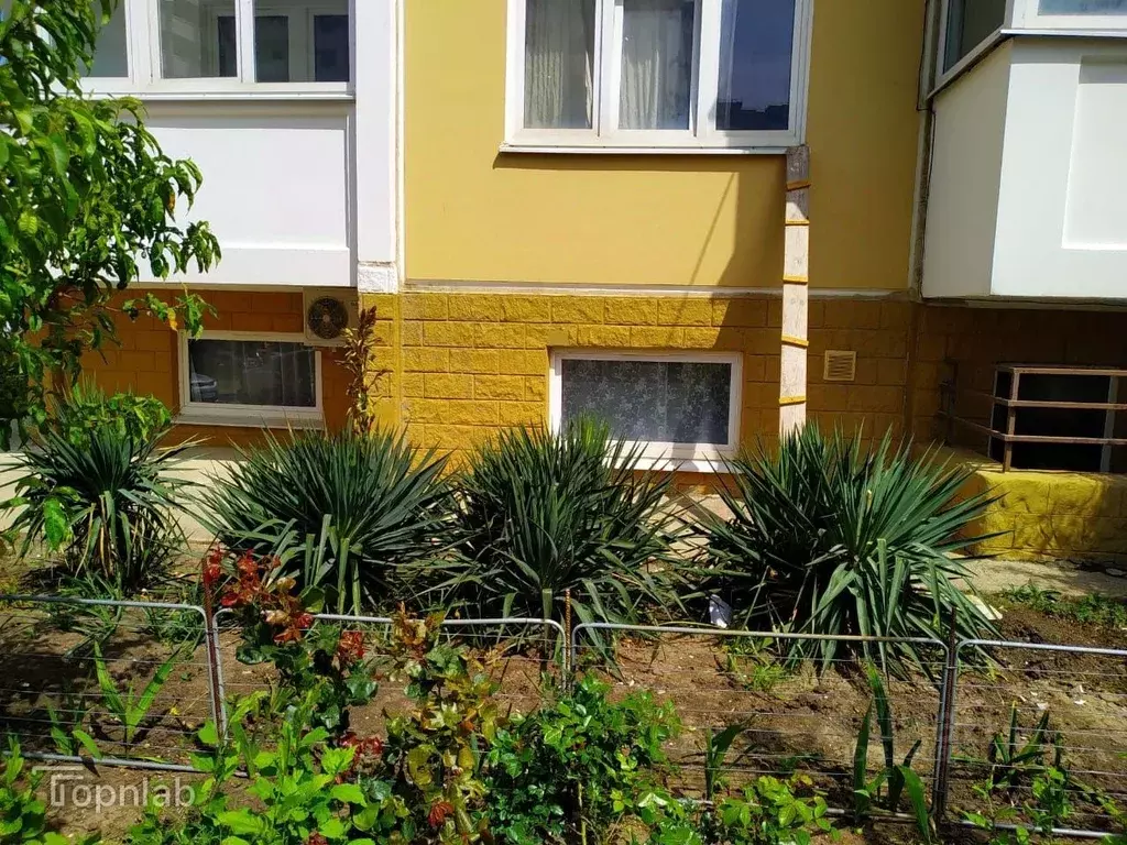 Комната Краснодарский край, Геленджик ул. Маршала Жукова, 1к6 (20.0 м) - Фото 1