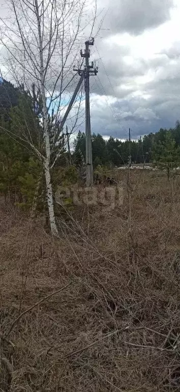 Участок в Тюменская область, Нижнетавдинский муниципальный округ, с. ... - Фото 2