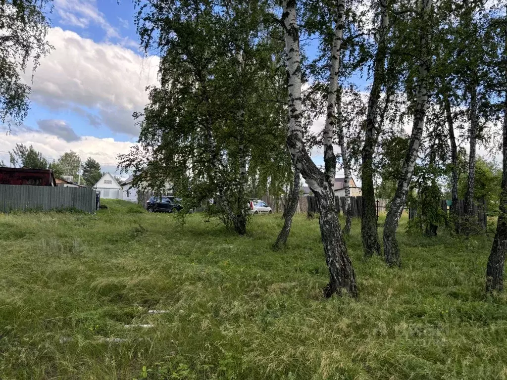 Участок в Курганская область, Кетовский муниципальный округ, д. Лукино ... - Фото 2