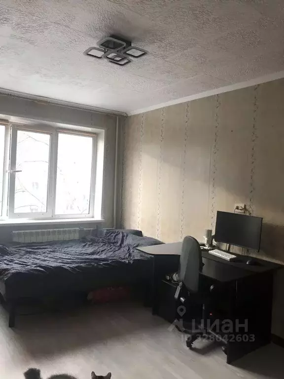 Студия Омская область, Омск ул. Попова, 3к1 (23.0 м) - Фото 1