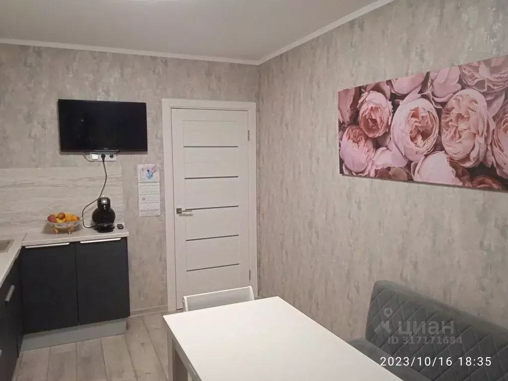 1-к кв. Ленинградская область, Ломоносовский район, Виллозское ... - Фото 2