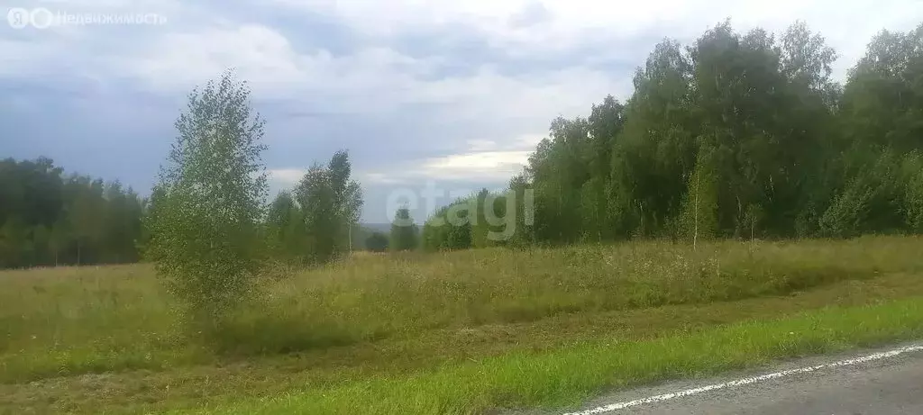 Участок в Кемеровский муниципальный округ, деревня Камышная, 2-й ... - Фото 0