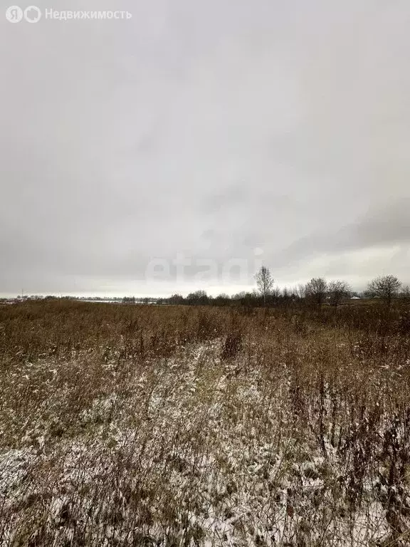 Участок в Дмитровский городской округ, деревня Кончинино (10 м) - Фото 0