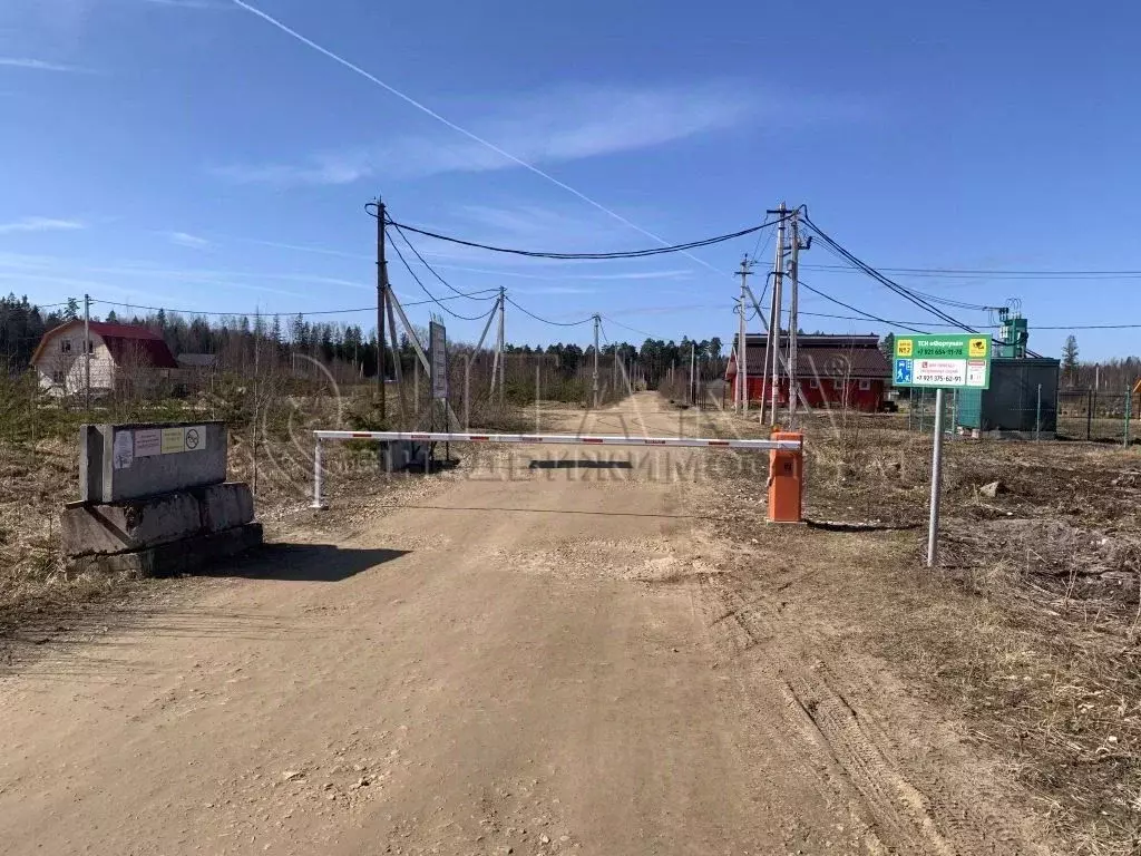 Участок в Ленинградская область, Сосновый Бор Искра мкр, Солнце жилой ... - Фото 0