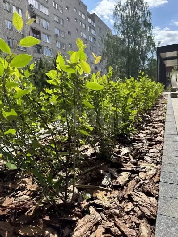 2-к кв. Удмуртия, Ижевск ул. Карла Либкнехта, 46 (72.3 м) - Фото 1