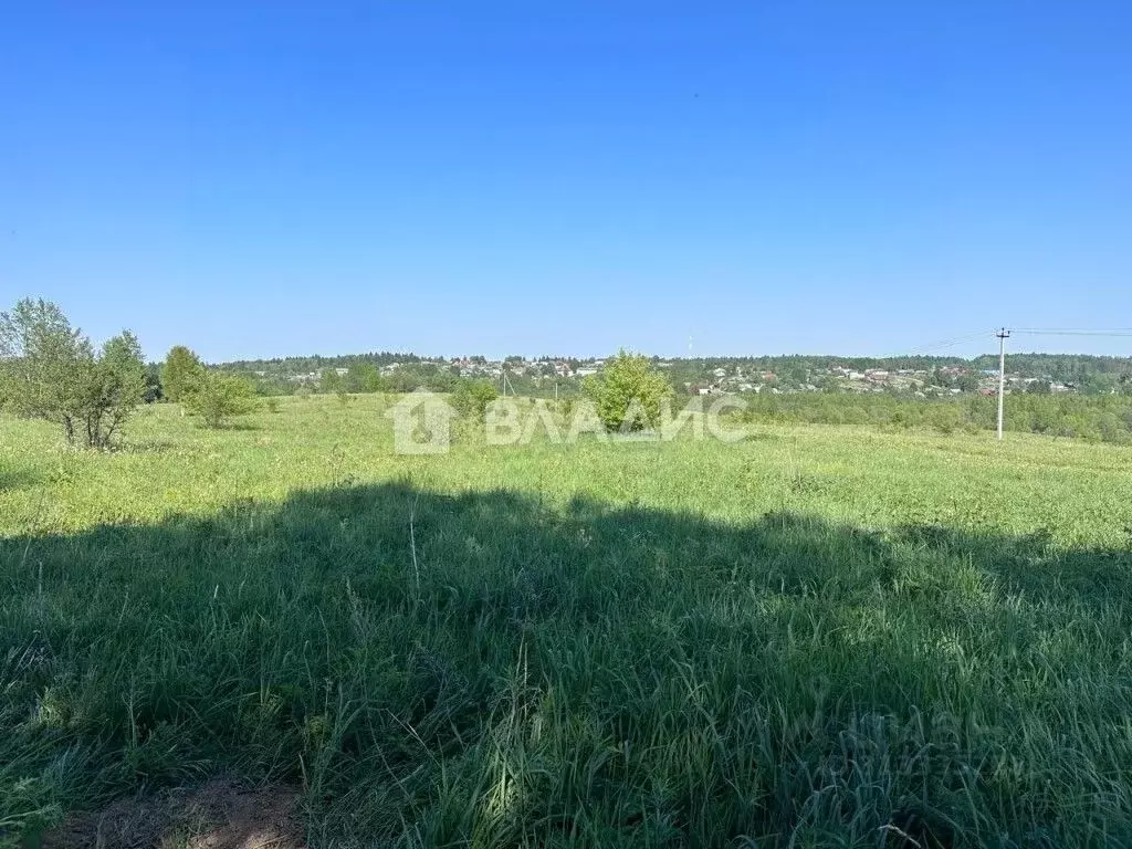 Участок в Владимирская область, Александровский район, ... - Фото 1