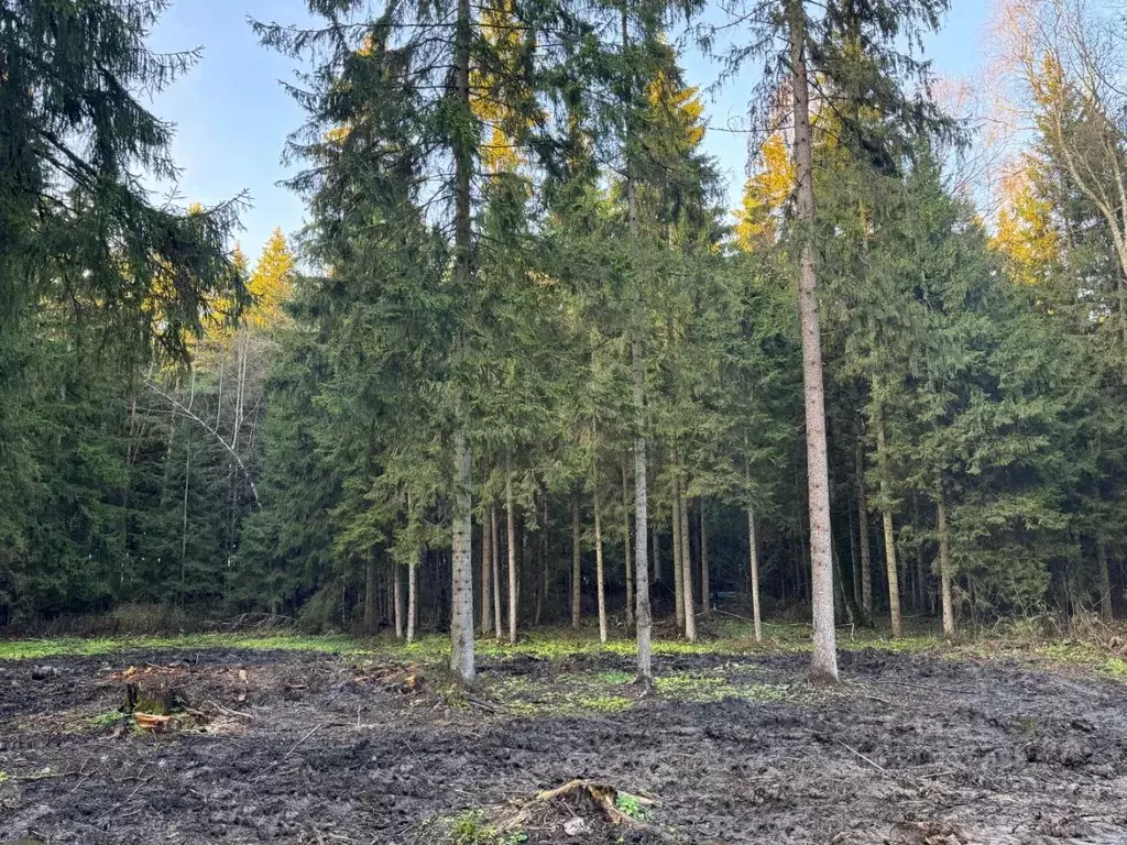 Участок в Московская область, Наро-Фоминский городской округ, д. ... - Фото 2