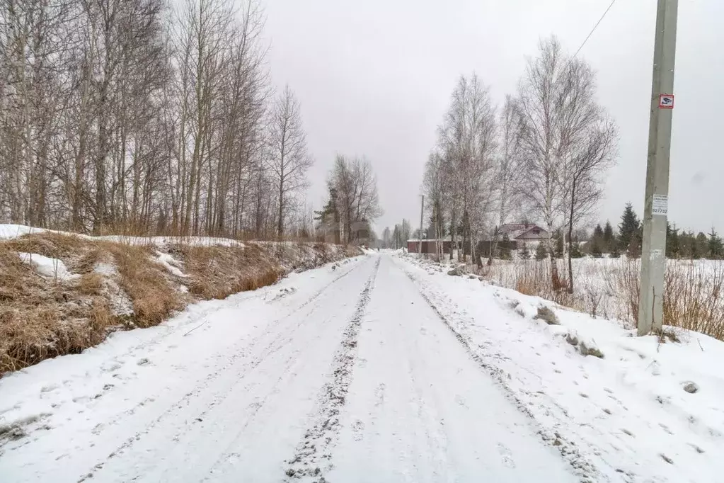 Участок в Тюменская область, Нижнетавдинский муниципальный округ, ... - Фото 1