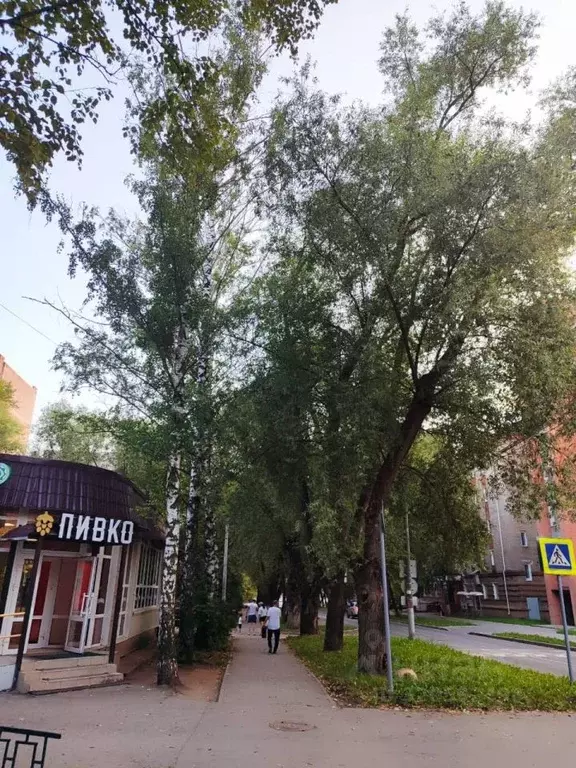 Помещение свободного назначения в Пермский край, Пермь ул. Крупской, ... - Фото 1