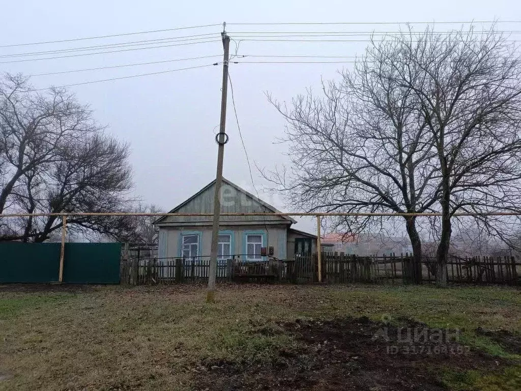 Дом в Краснодарский край, Ейский район, с. Кухаривка  (43 м) - Фото 0