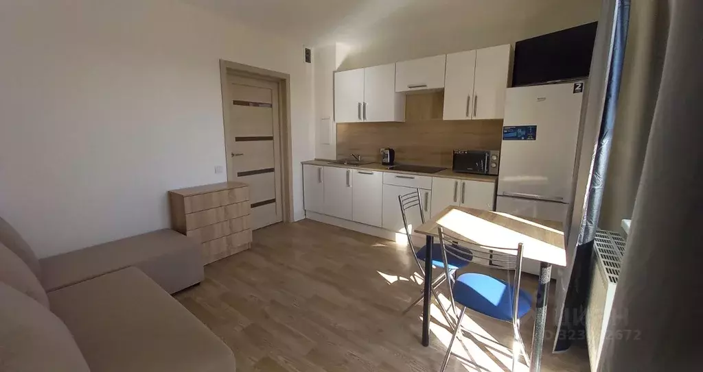 Студия Санкт-Петербург наб. Реки Каменки, 21к1 (20.0 м) - Фото 2