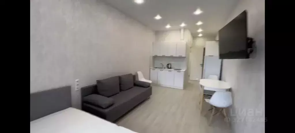 Студия Краснодарский край, Сочи городской округ, Дагомыс пгт ш. ... - Фото 2