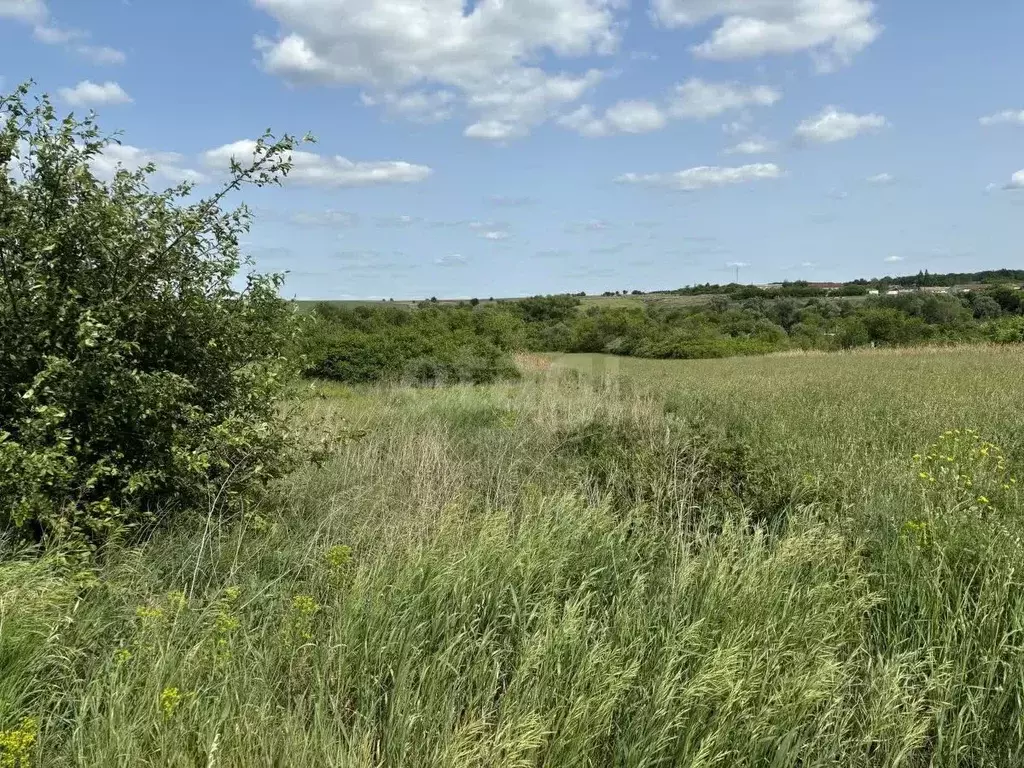 Участок в Воронежская область, Семилукский район, с. Медвежье Заречная ... - Фото 1